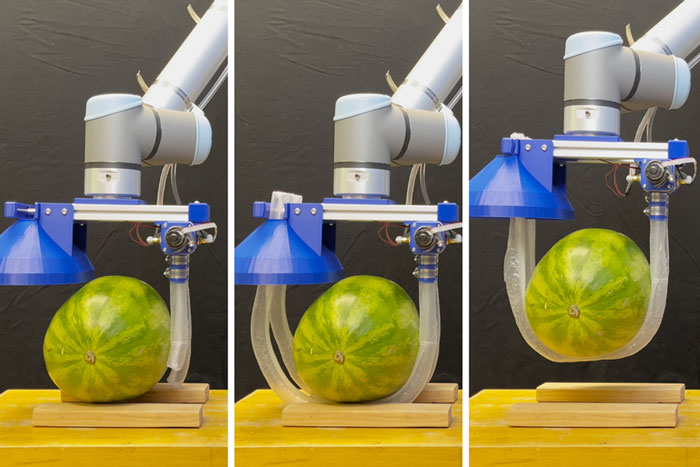 vine-like robot hands pick up a watermelon