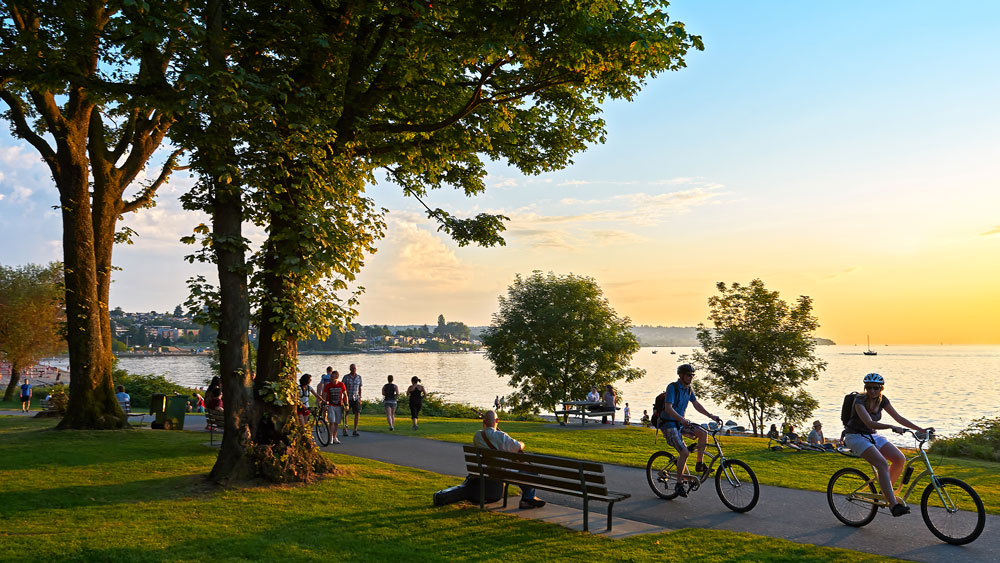 People ride bikes and relax near a river on a gorgeous day