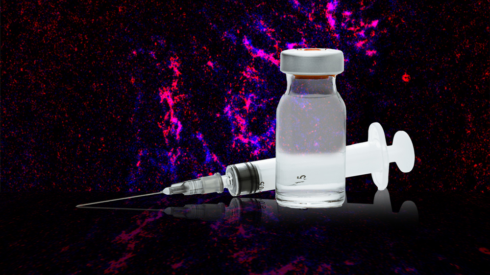 a syringe and vial in front of a view of a lymph node shown in pink and blue splotches.